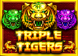 Triple Tigers - pragmaticSLots - Rtp LAMTOTO
